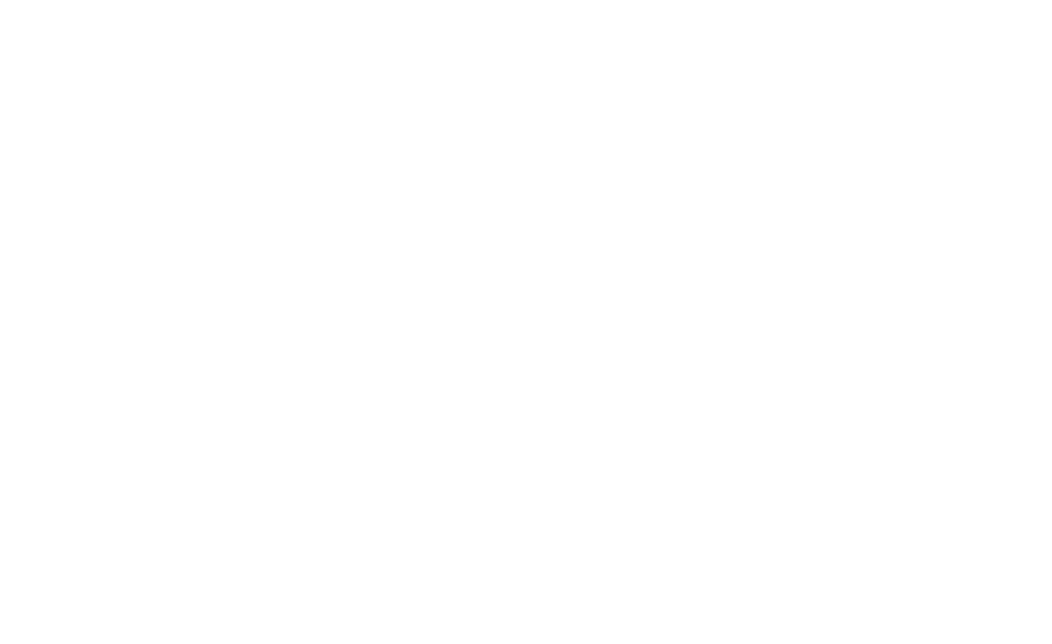 Cy4 Logo White